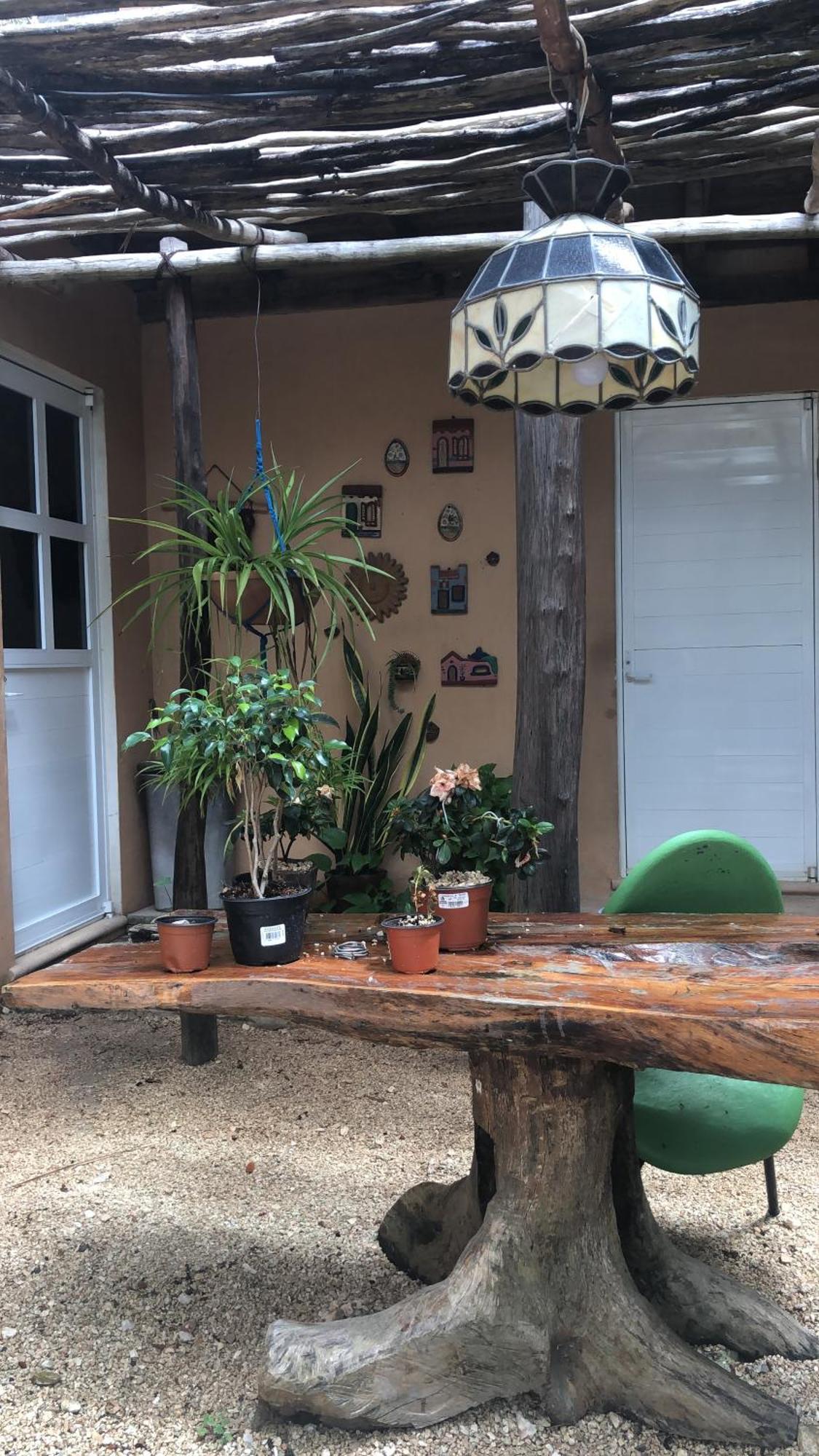 Bed and Breakfast Casa Tzalam Tulum Selva Zewnętrze zdjęcie